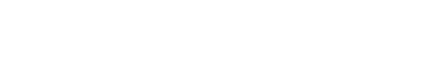 STV PORTO ALEGRE LOGO